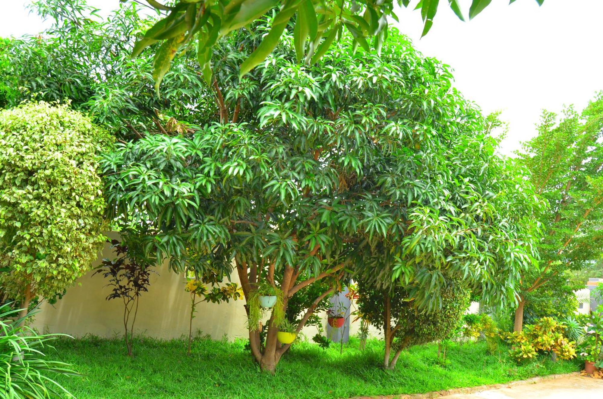 Chobe Kulotu Guest House Kasane Kültér fotó